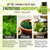 Spiro-Ingredient-EN Spiro-Ingredient-EN