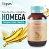 Homega-ENRevised Homega-ENRevised