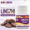 BioLingZhi-Australia-Mushroom-EN BioLingZhi-Australia-Mushroom-EN