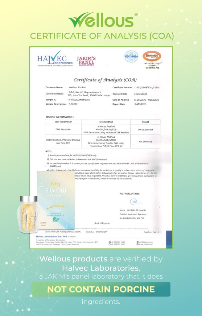 S-GLOW_Halvec cert_ENG