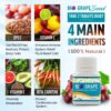 biograpeseed-ingredient-EN biograpeseed-ingredient-EN