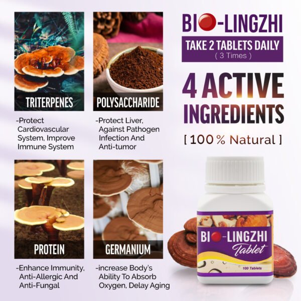 biolingzhi-ingredient-EN-1 biolingzhi-ingredient-EN-1